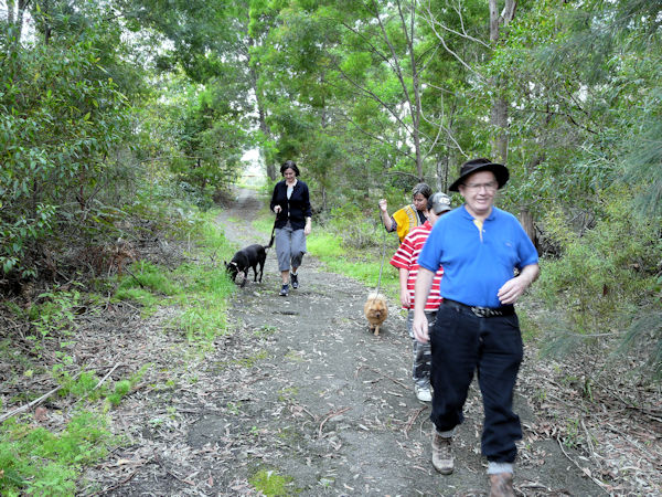 Killarney Bushwalk
